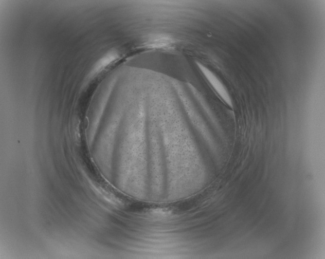 X0000082160692200702021701