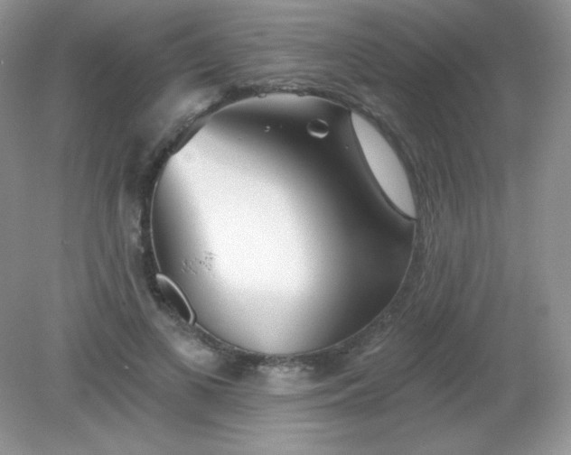 X0000082160693200702021701