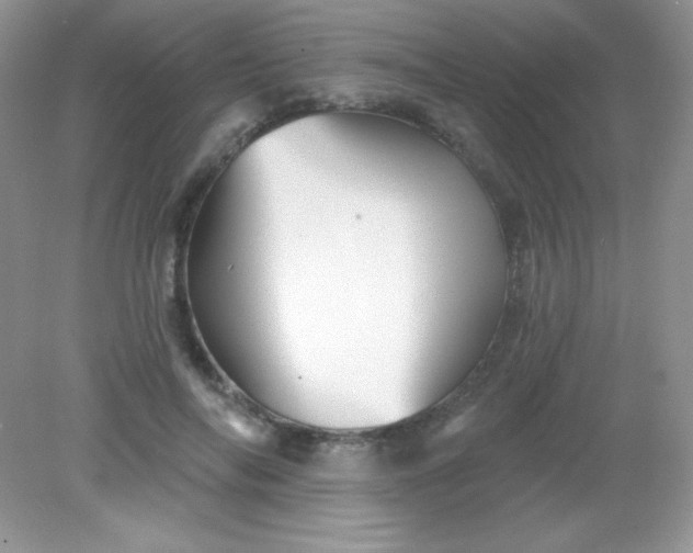 X0000082160694200702021701