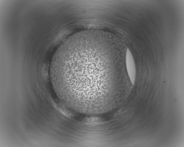 X0000082160695200702021701