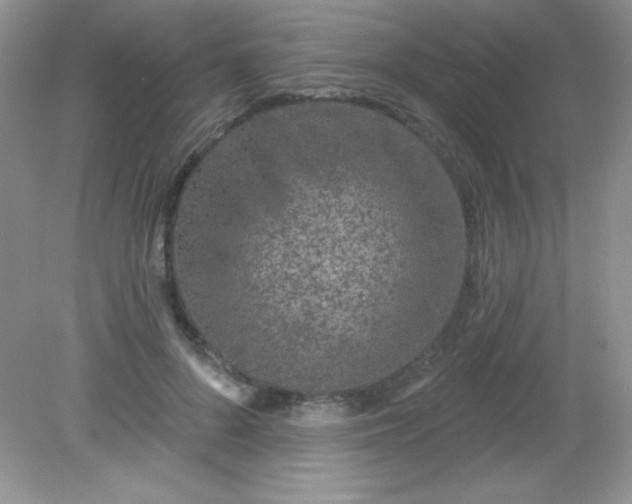 X0000082160696200702021701