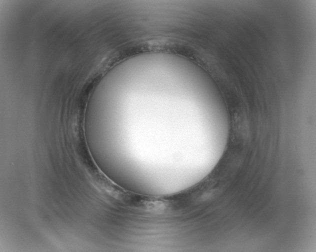 X0000082160698200702021701