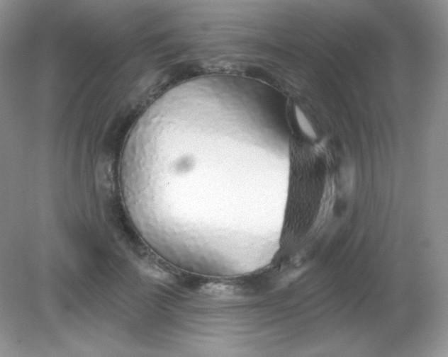 X0000082160699200702021701