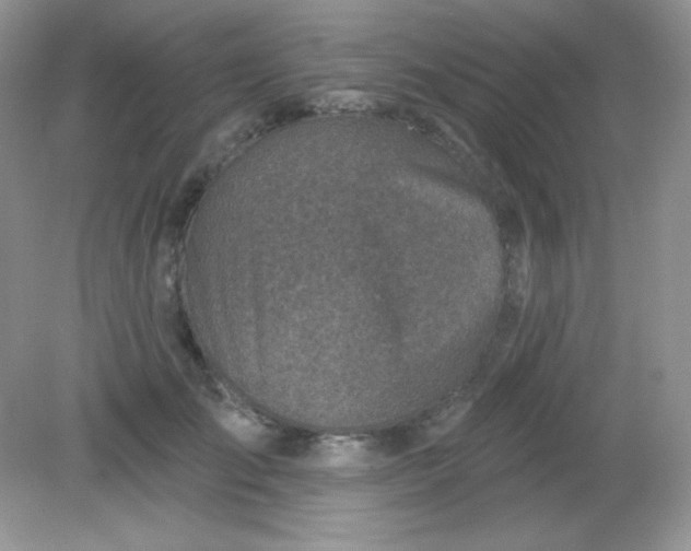 X0000082160701200702021701