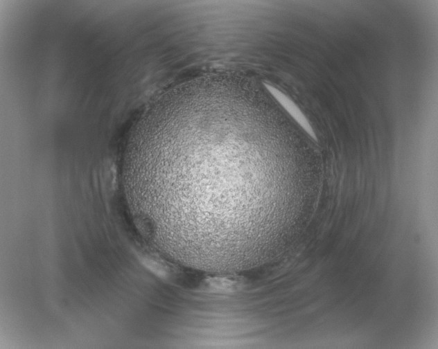 X0000082160703200702021701