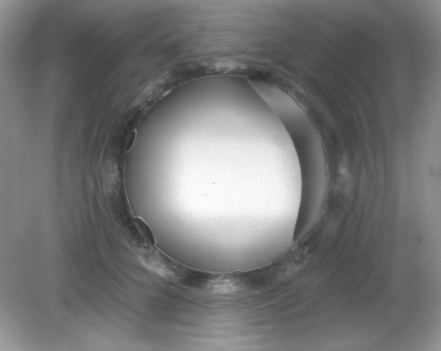 X0000082160704200702021701