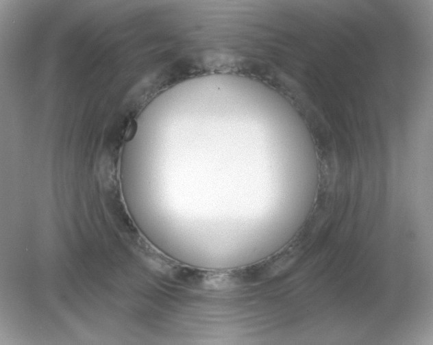 X0000082160705200702021701