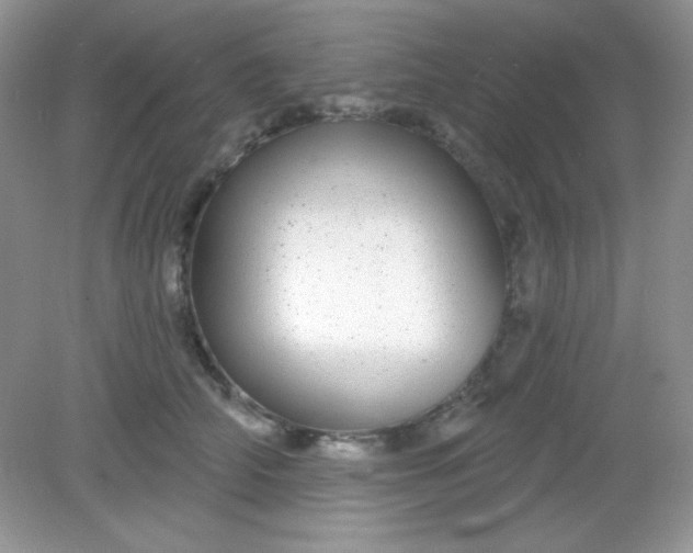 X0000082160706200702021701