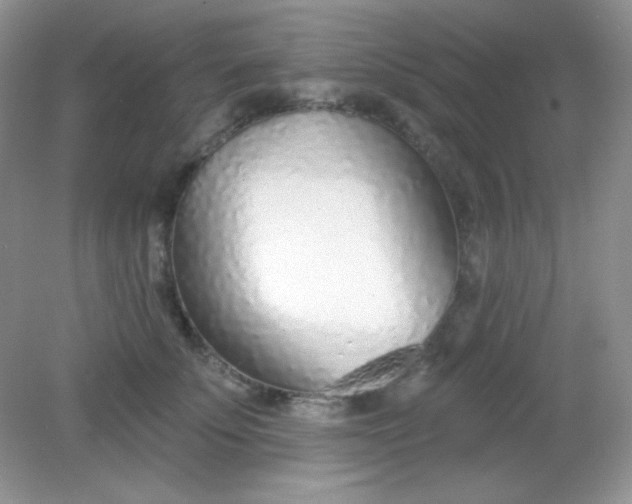 X0000082160707200702021701