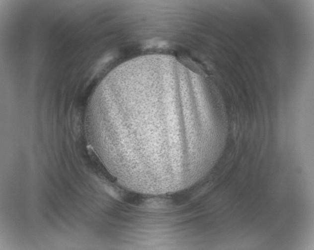 X0000082160708200702021701