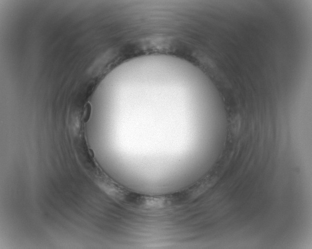 X0000082160709200702021701