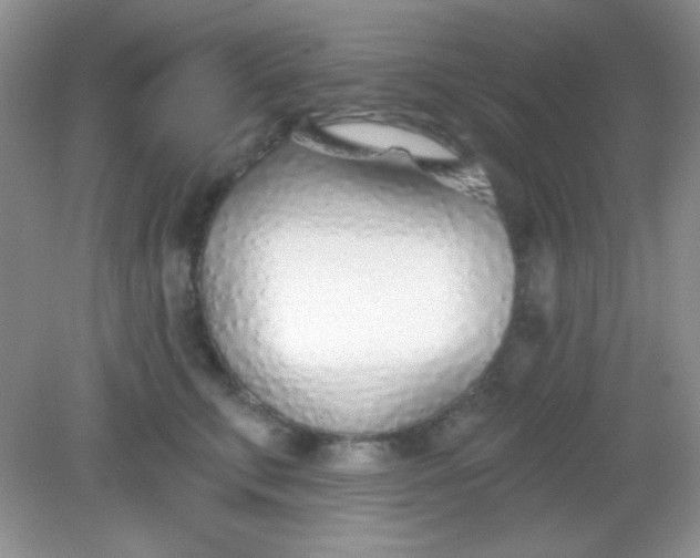 X0000082160711200702021701