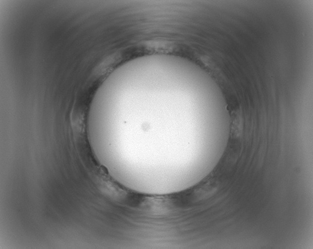 X0000082160713200702021701