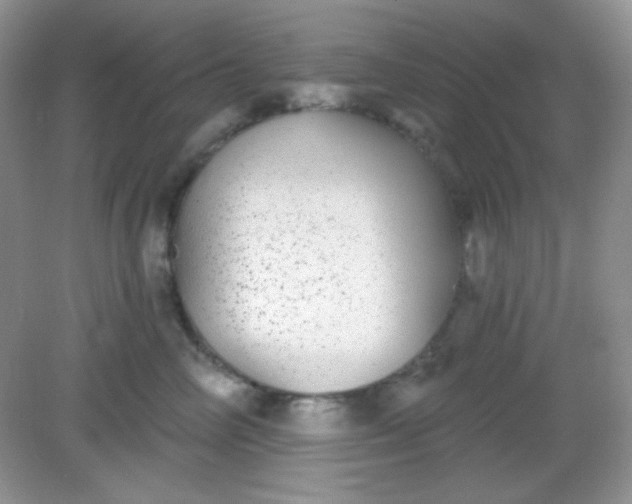 X0000082160714200702021701