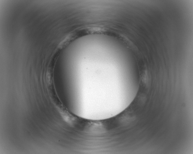 X0000082160715200702021701