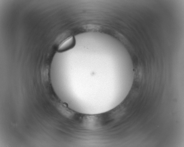 X0000082160717200702021701