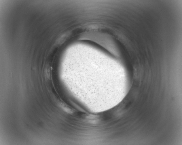 X0000082160718200702021701