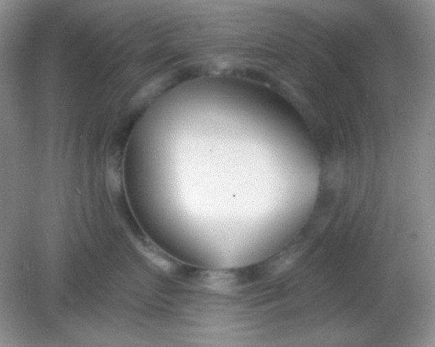 X0000082160719200702021701