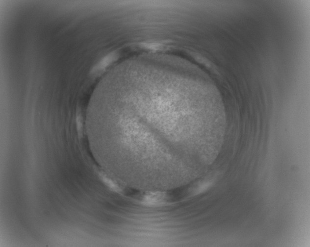 X0000082160720200702021701