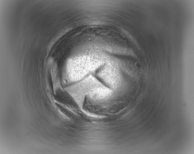 X0000082160721200702021700