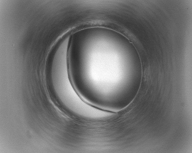 X0000082160722200702021700