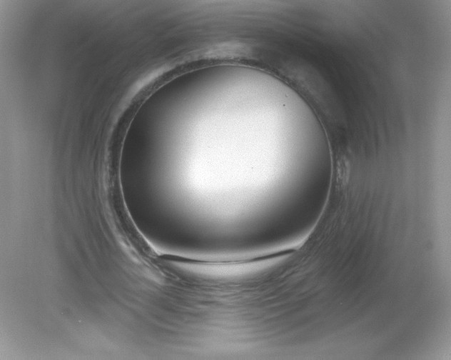 X0000082160724200702021700