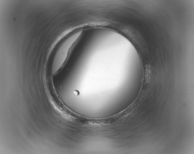 X0000082160726200702021700