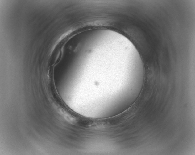 X0000082160727200702021700