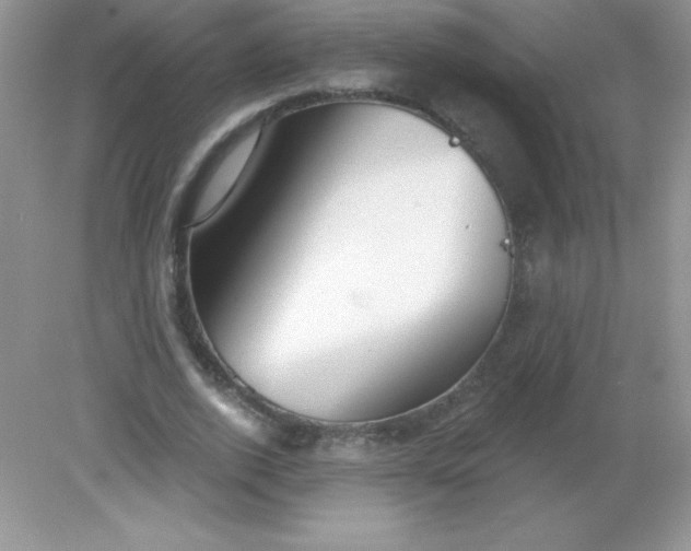 X0000082160728200702021700