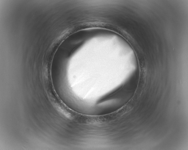 X0000082160729200702021700