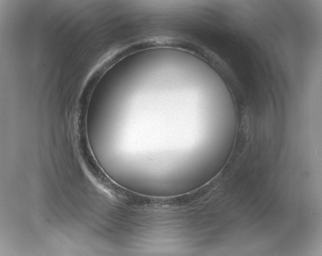 X0000082160730200702021700