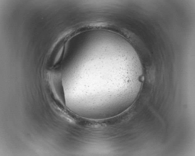 X0000082160731200702021700