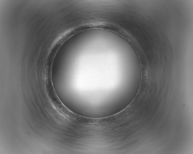 X0000082160732200702021700