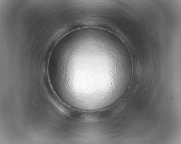 X0000082160733200702021700