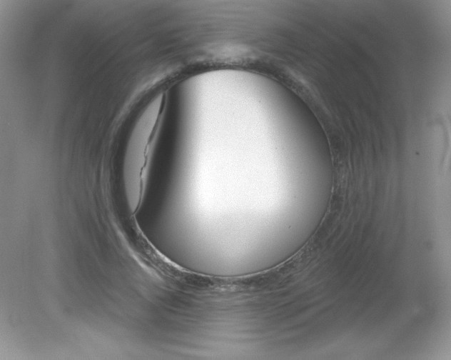 X0000082160736200702021700