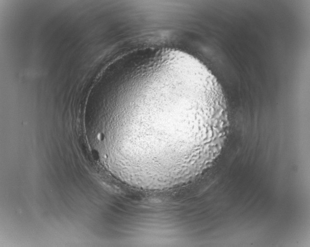 X0000082160737200702021700