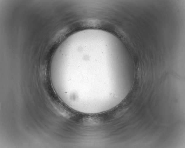 X0000082160739200702021700