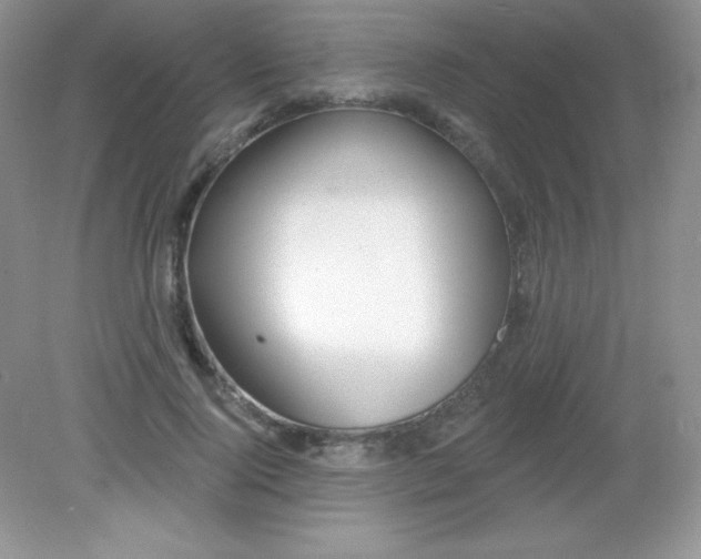 X0000082160740200702021700