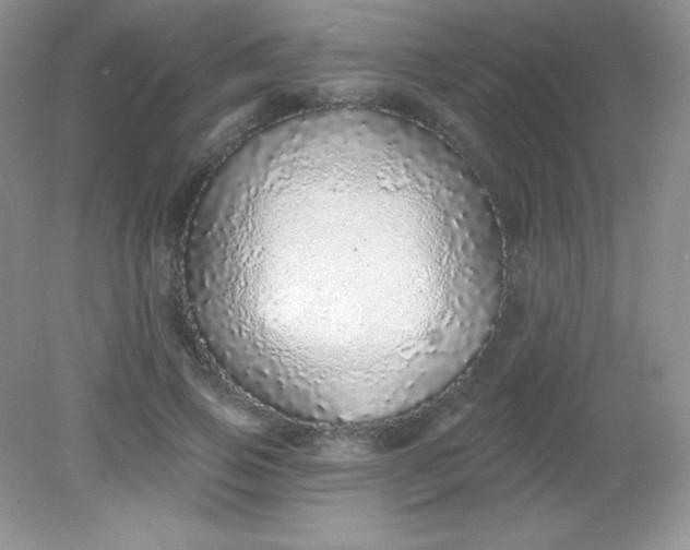 X0000082160741200702021700