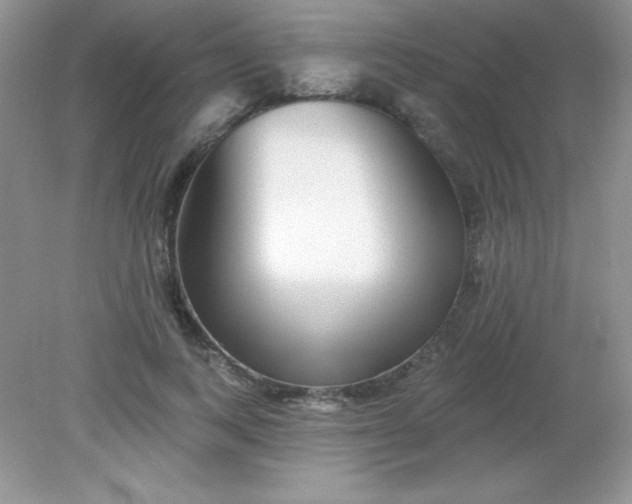 X0000082160743200702021700