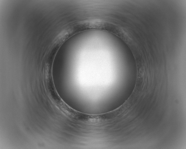 X0000082160744200702021700