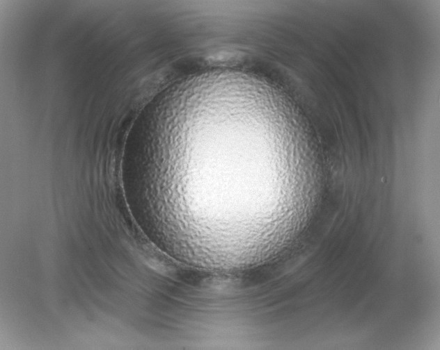 X0000082160745200702021700