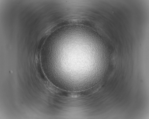 X0000082160746200702021700