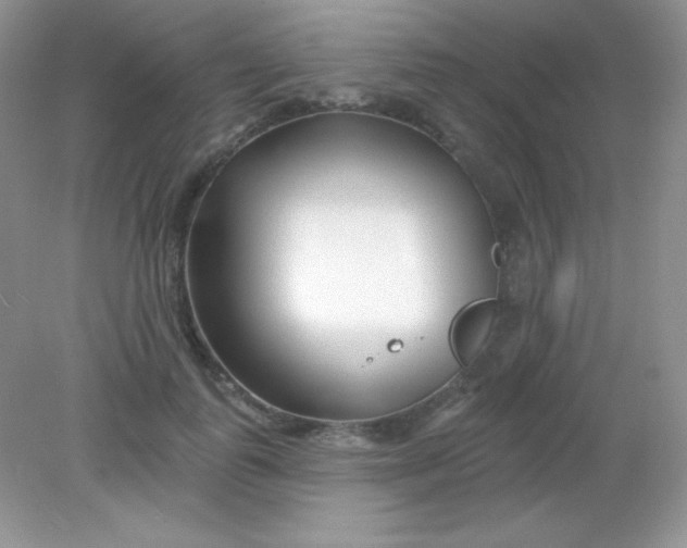 X0000082160747200702021700