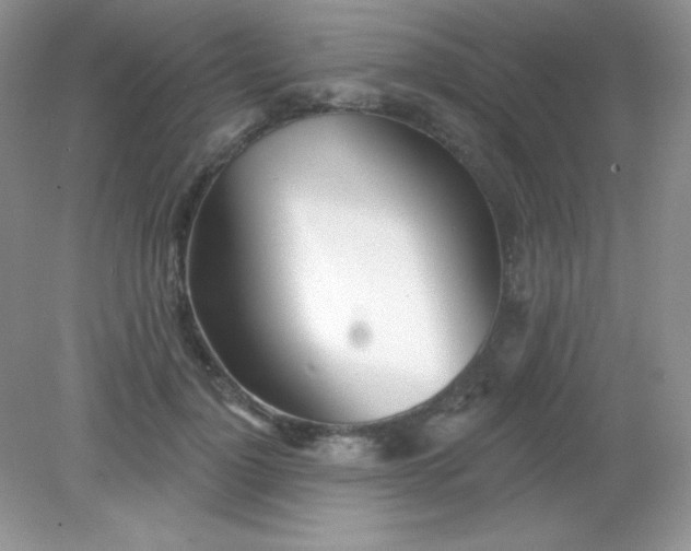 X0000082160748200702021700