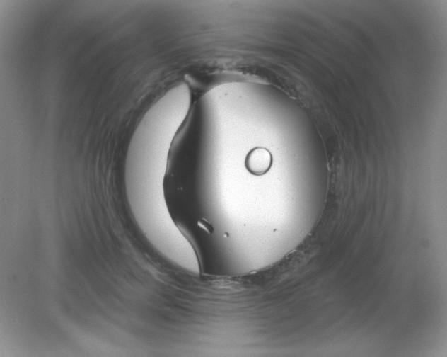 X0000082160750200702021700