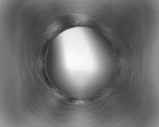 X0000082160751200702021700