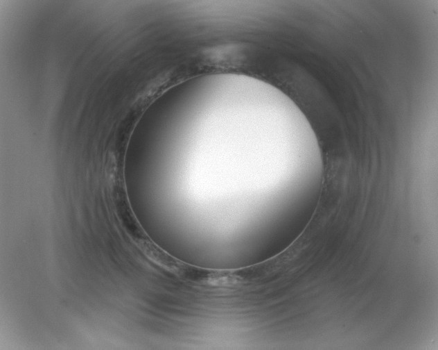 X0000082160752200702021700