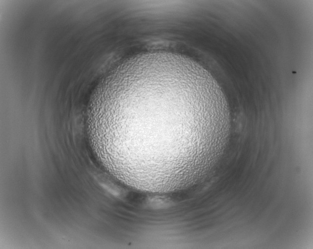 X0000082160753200702021700