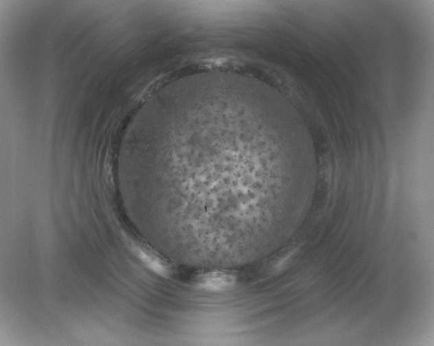 X0000082160754200702021700